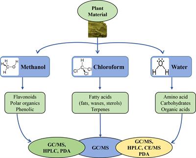 Approach strategies and application of metabolomics to biotechnology in plants